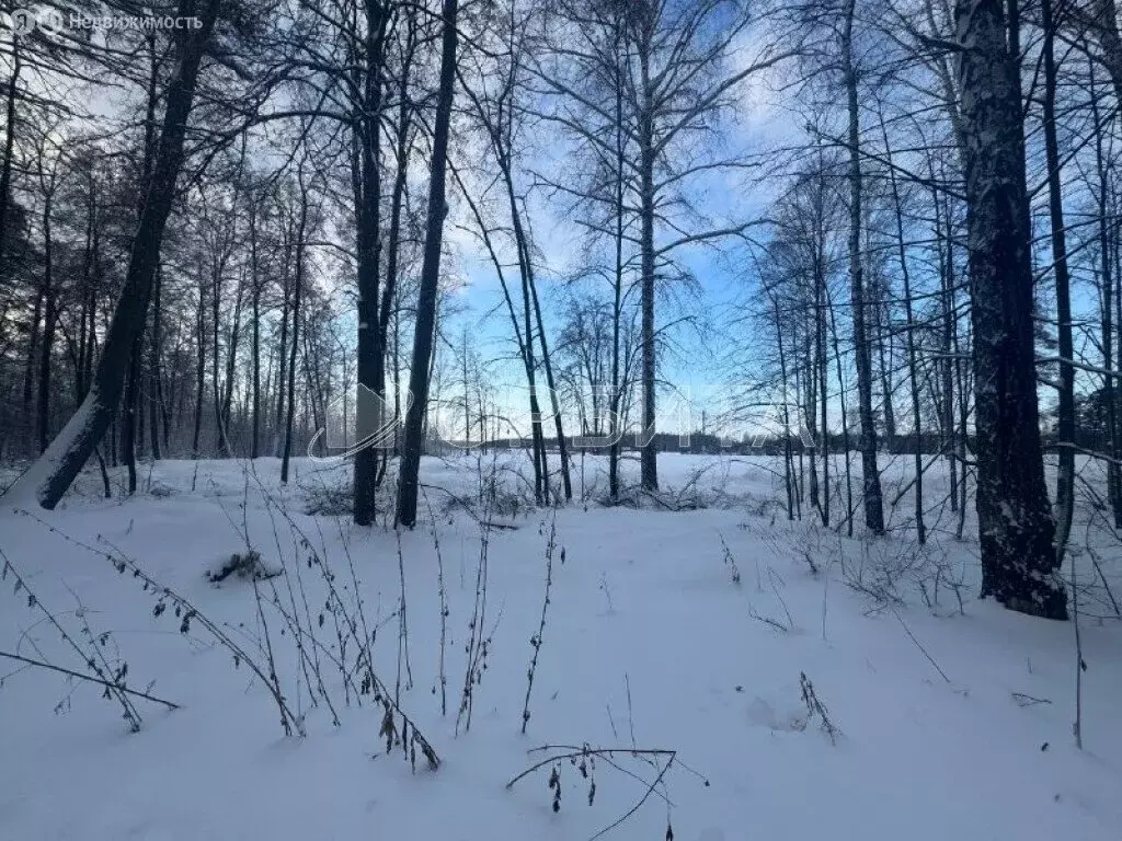 Участок в Тюменская область, Нижнетавдинский муниципальный округ, ... - Фото 2