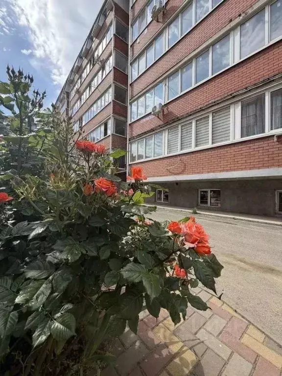Студия Краснодарский край, Краснодар пос. Березовый, ул. 2-я ... - Фото 1