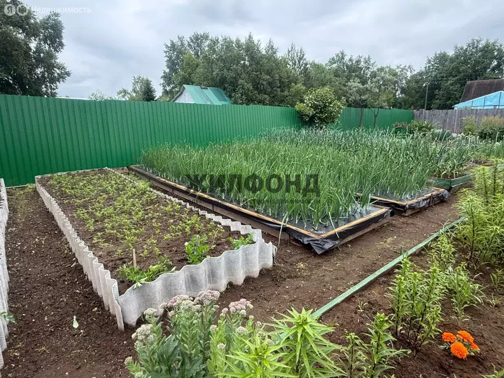 Дом в Камчатский край, Елизовский муниципальный округ, садовое ... - Фото 0