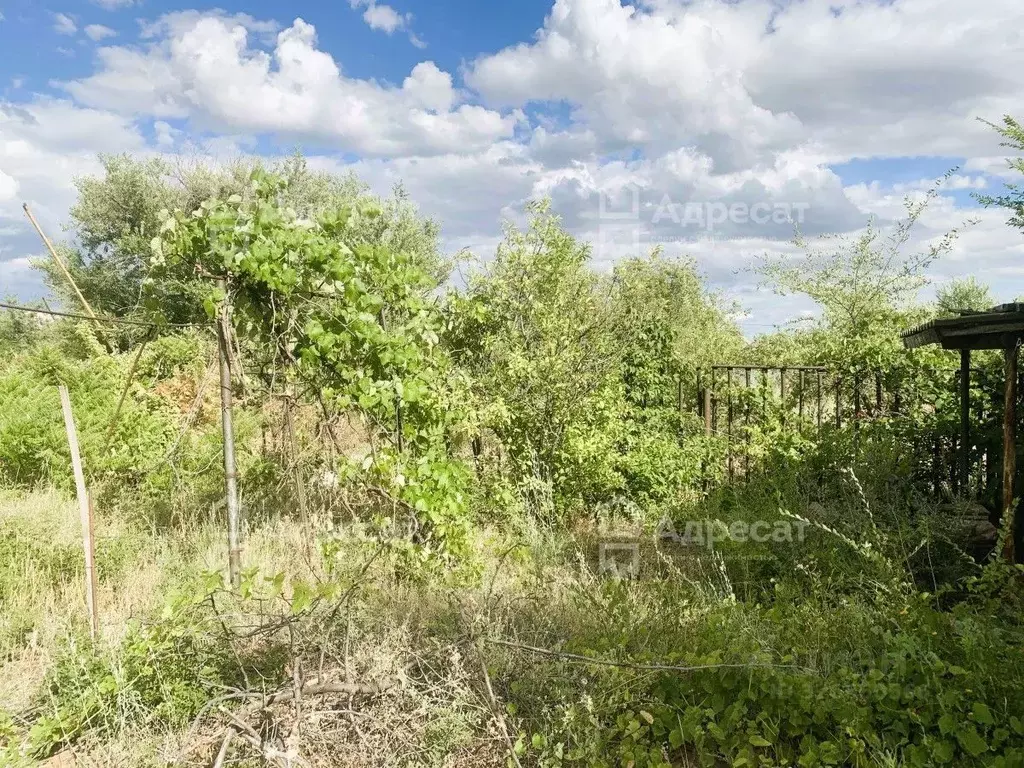 Участок в Волгоградская область, Городищенский район, Ерзовское ... - Фото 1