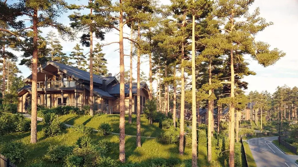 Участок в Ленинградская область, Всеволожский район, Куйвозовское ... - Фото 2