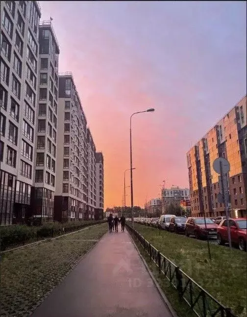 Студия Санкт-Петербург просп. Ветеранов, 171к1 (24.0 м) - Фото 1