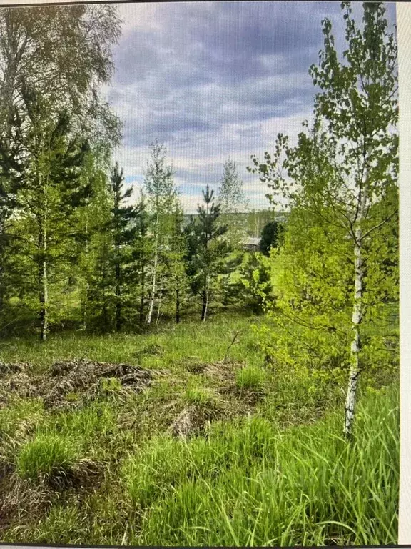 Участок в Кемеровская область, Кемерово Иртышская ул. (13.0 сот.) - Фото 1