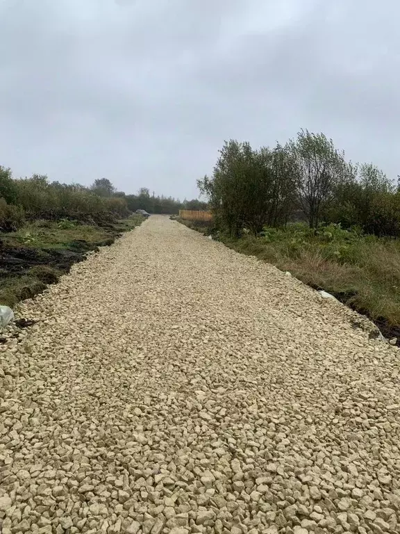 Участок в Ленинградская область, Гатчинский муниципальный округ, пос. ... - Фото 1