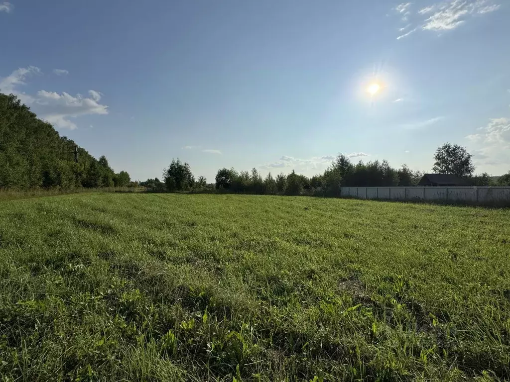 Участок в Нижегородская область, Нижний Новгород д. Горный Борок,  ... - Фото 2