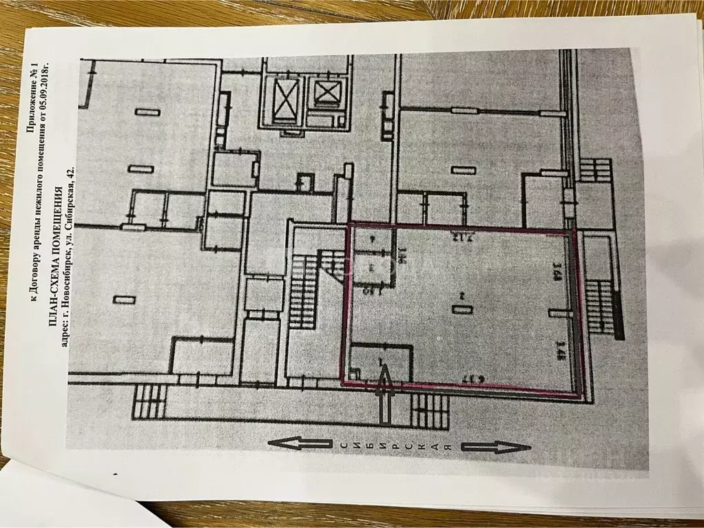 Торговая площадь в Новосибирская область, Новосибирск Сибирская ул., ... - Фото 2