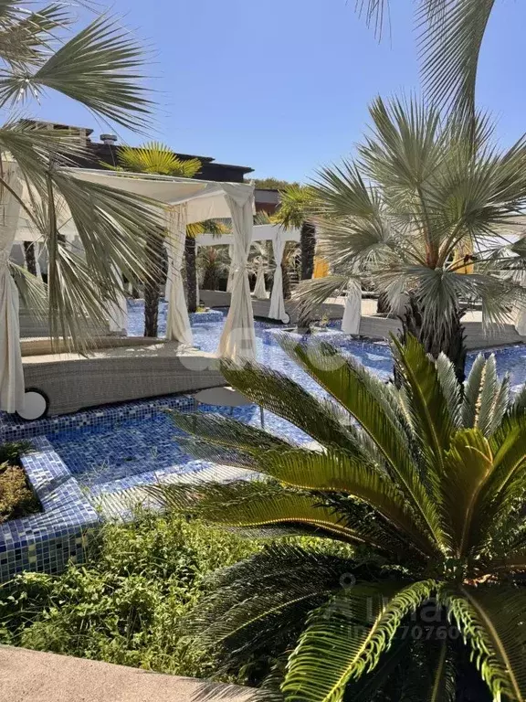 4-к кв. Краснодарский край, Сочи пос. Мамайский Перевал, ул. ... - Фото 2