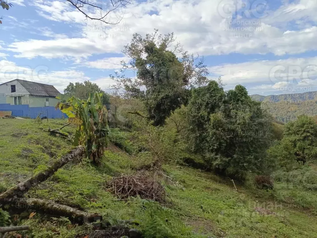 Участок в Краснодарский край, Сочи городской округ, с. Варваровка пер. ... - Фото 1