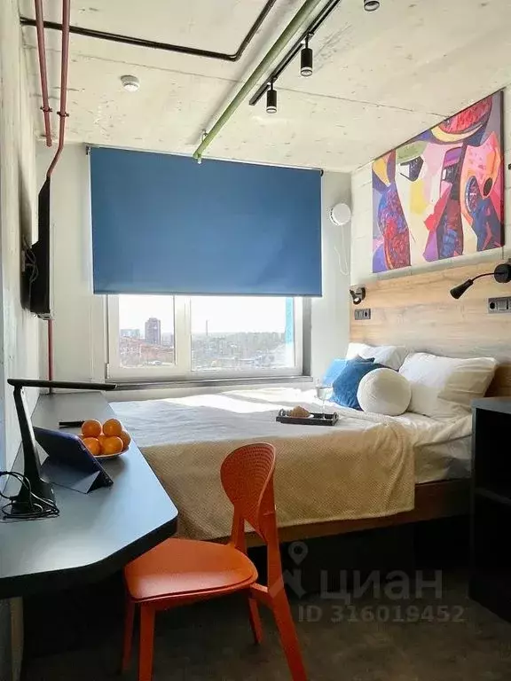 1-к кв. Санкт-Петербург ул. Орджоникидзе, 44а (14.0 м) - Фото 2