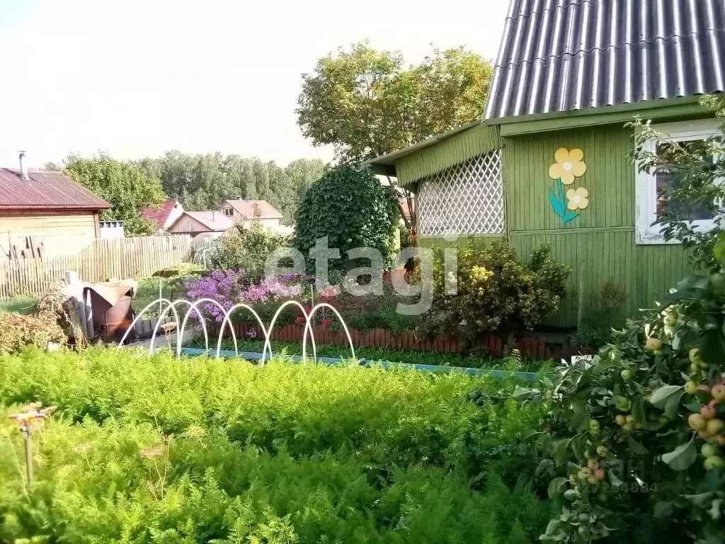 Дом в Красноярский край, Емельяновский муниципальный округ, Березки ... - Фото 1