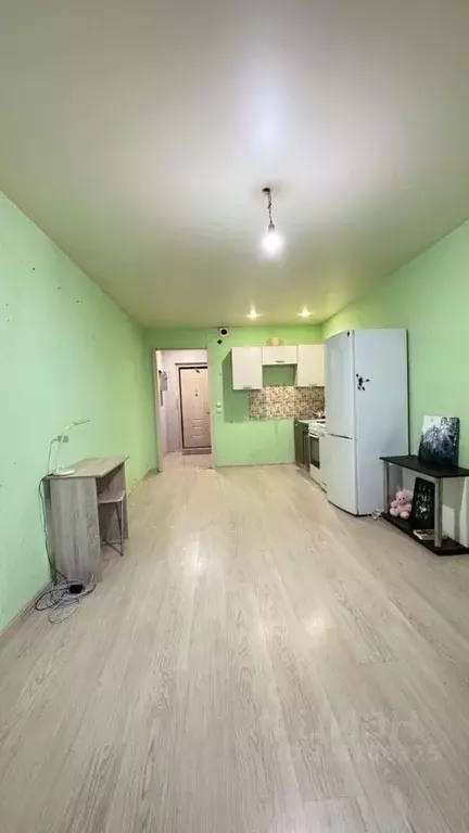 Студия Ленинградская область, Никольское Тосненский район, Октябрьская ... - Фото 2