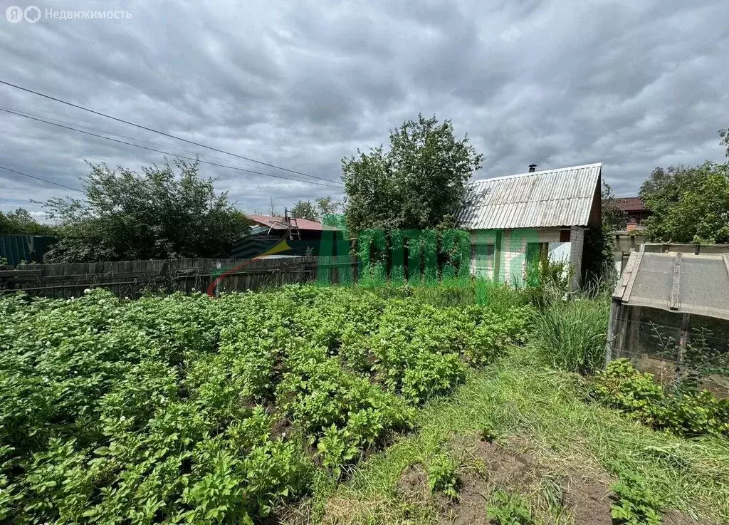 Дом в Чита, НСОТ № 37 Мелиоратор, 37 (10 м) - Фото 1