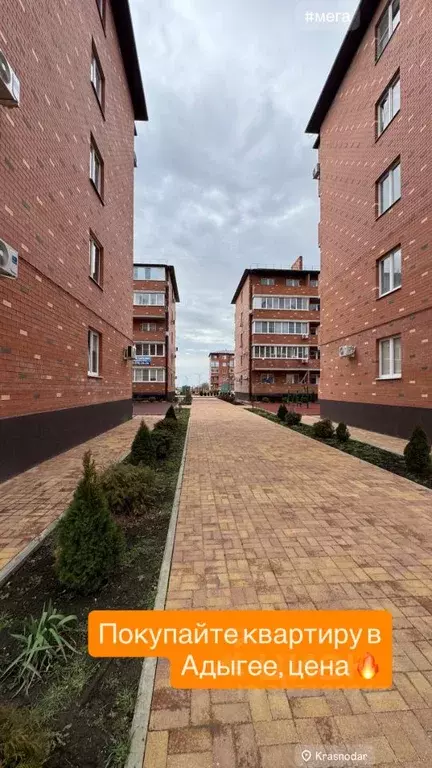 1-к кв. Адыгея, Тахтамукайский район, Старобжегокайское с/пос, Новая ... - Фото 2