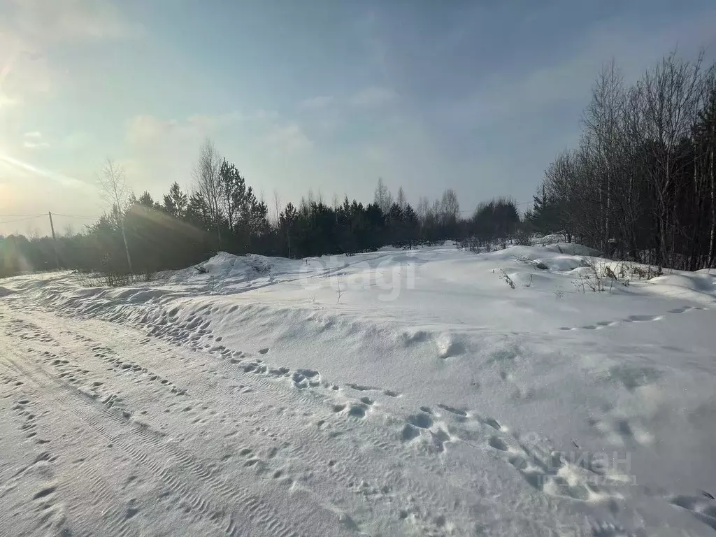 Участок в Свердловская область, Горноуральский городской округ, с. ... - Фото 0