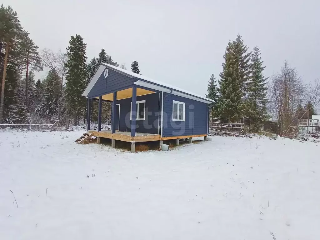 Дом в Архангельская область, Приморский муниципальный округ, Полет СНТ ... - Фото 1