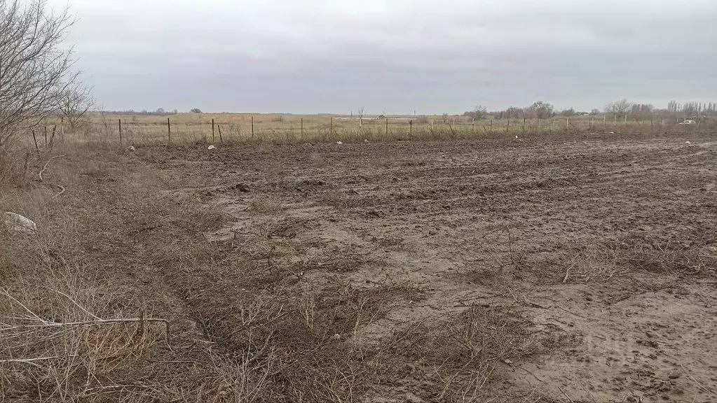 Участок в Ростовская область, Семикаракорский район, Кузнецовка хут. ... - Фото 2