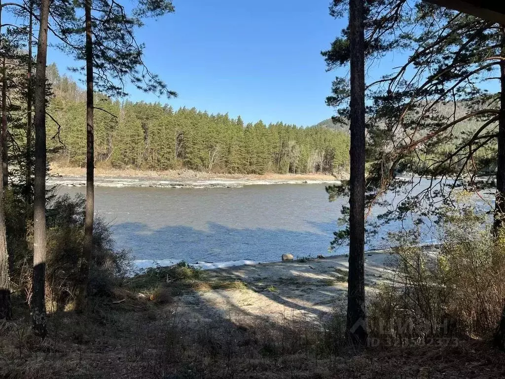 Дом в Алтай, Майминский район Р-256 Чуйский тракт, 489-й км, 1 (30 м) - Фото 2