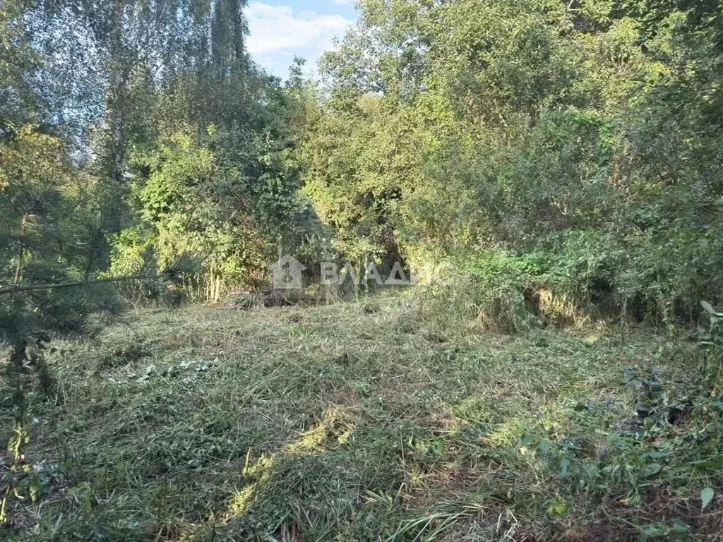 Участок в Московская область, Коломна городской округ, д. Речки  (7.4 ... - Фото 2