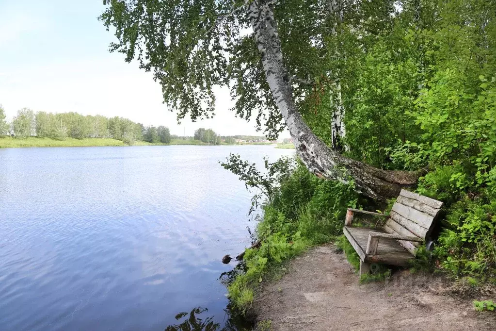 Участок в Тюменская область, Тюменский муниципальный округ, д. ... - Фото 1