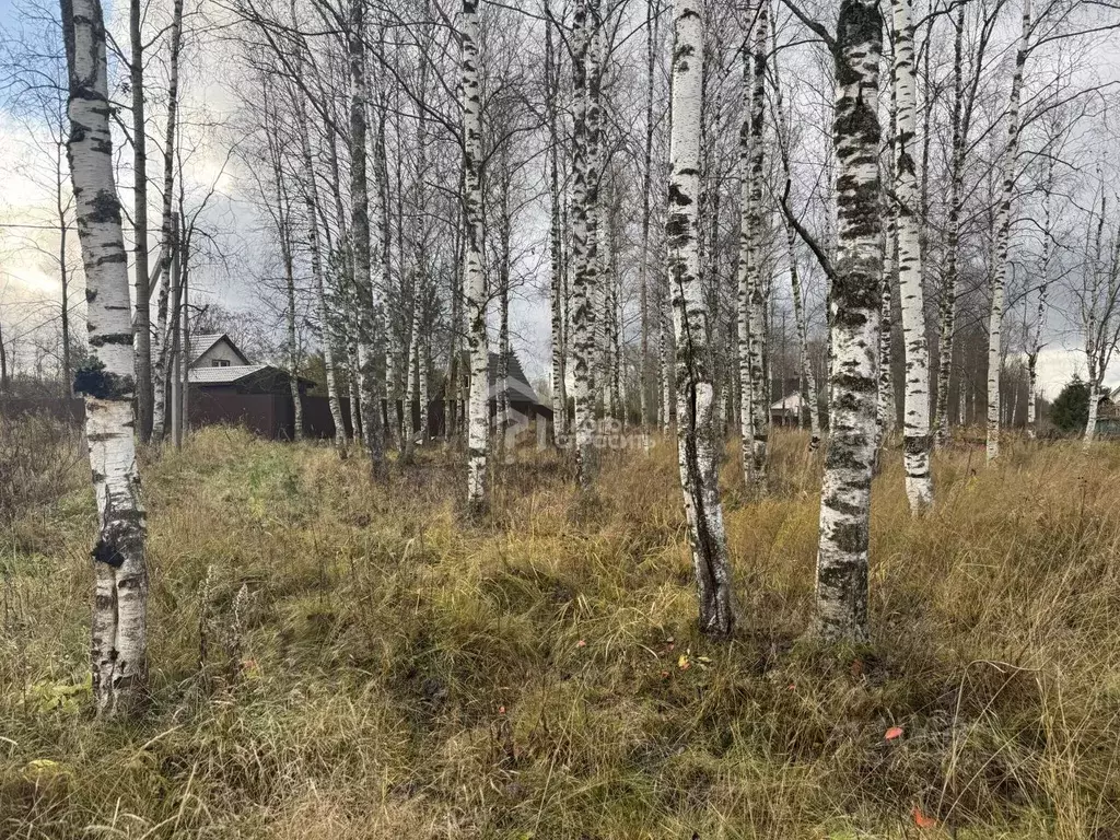 Участок в Ленинградская область, Кировский район, Мгинское городское ... - Фото 1