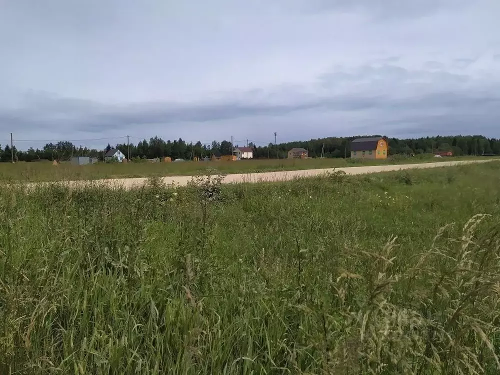 Участок в Ленинградская область, Лужский район, Мшинское с/пос, ... - Фото 2