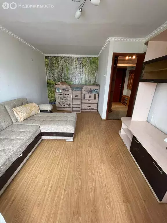 1-комнатная квартира: Кощаково, улица 50 лет Победы, 1 (32.5 м) - Фото 1