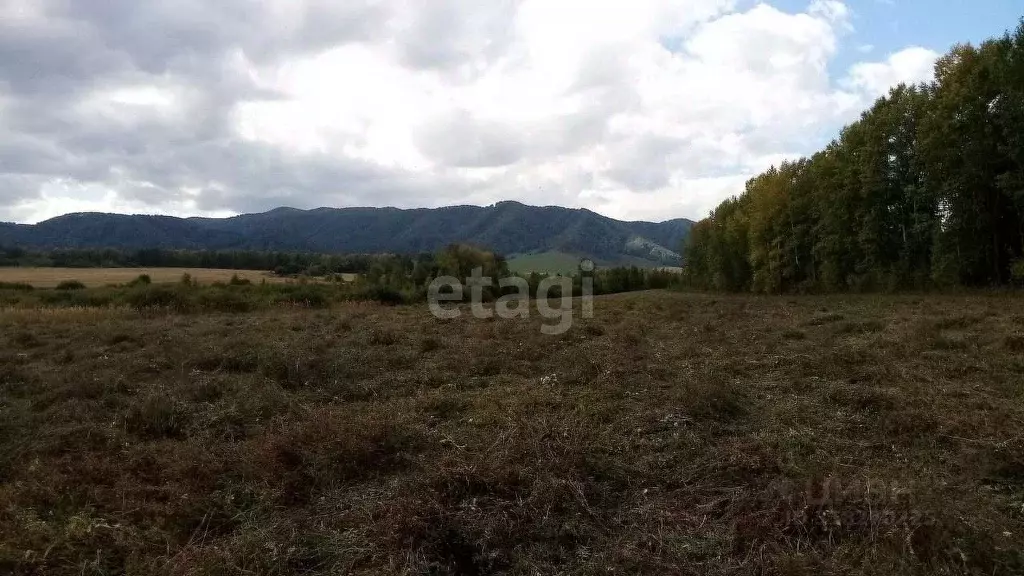 Участок в Алтайский край, Алтайский район, с. Алтайское ул. Революции ... - Фото 1