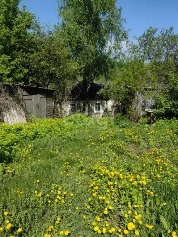 Дом в Белгородская область, Алексеевский городской округ, с. ... - Фото 1