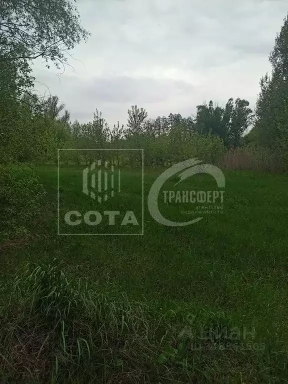 Участок в Воронежская область, Новоусманский район, Усманское 1-е ... - Фото 0