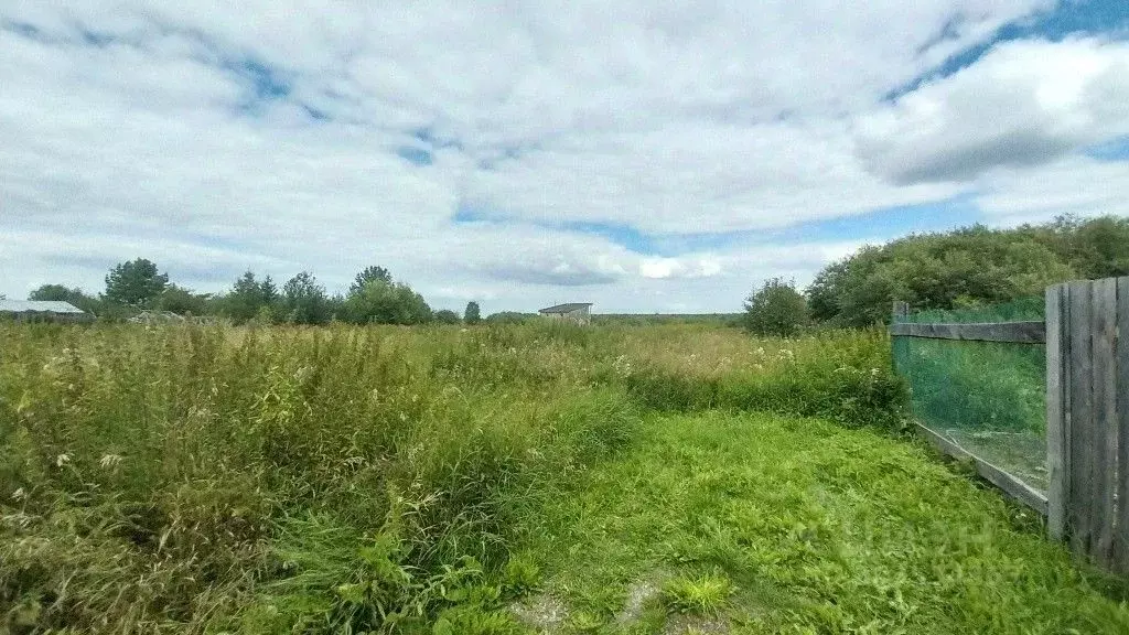 Участок в Свердловская область, Богданович городской округ, с. ... - Фото 0