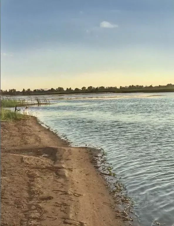 Участок в Саратовская область, Энгельсский район, Красноярское ... - Фото 0
