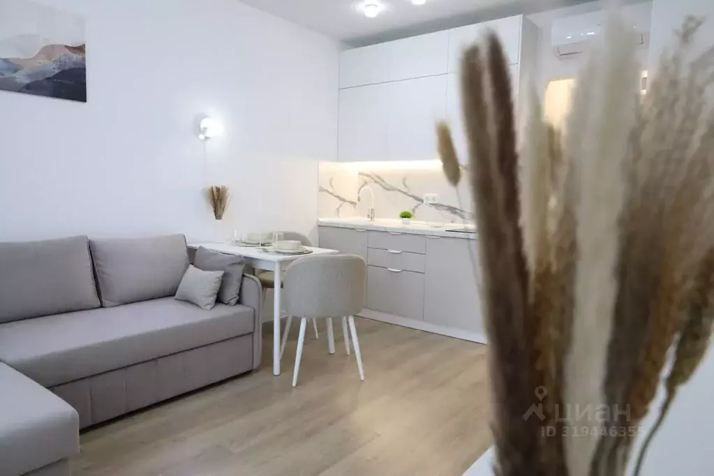 Студия Москва Люблинская ул., 72Ак1 (20.0 м) - Фото 1