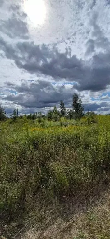 Участок в Калининградская область, Гурьевский муниципальный округ, ... - Фото 2