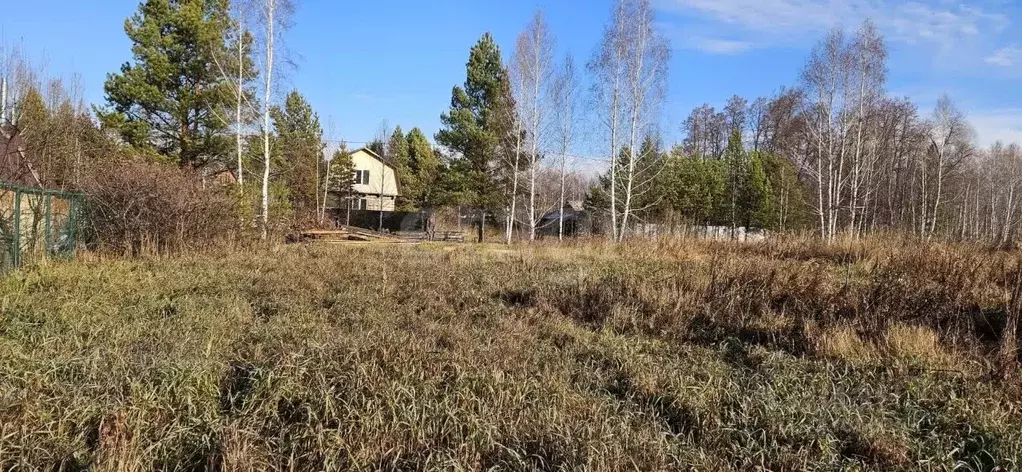 Участок в Тюменская область, Нижнетавдинский муниципальный округ, ... - Фото 1