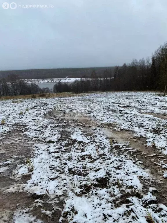 Участок в Республика Коми, муниципальный район Сыктывдинский, ... - Фото 1