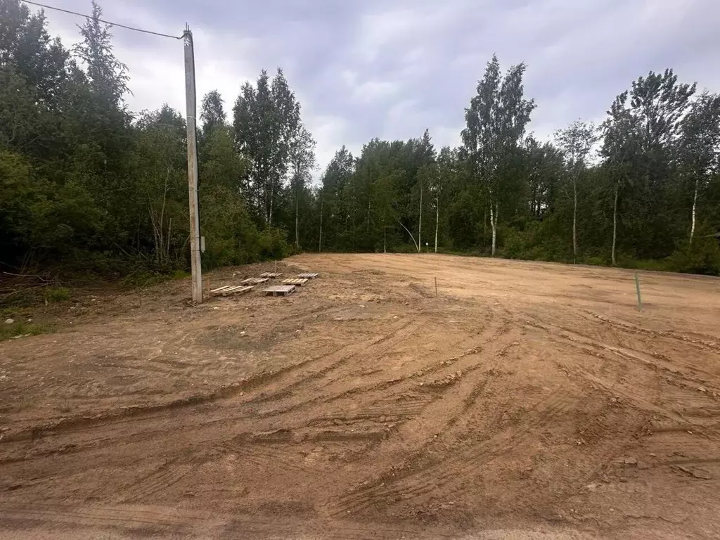Участок в Ленинградская область, Выборгский район, Красносельское ... - Фото 2