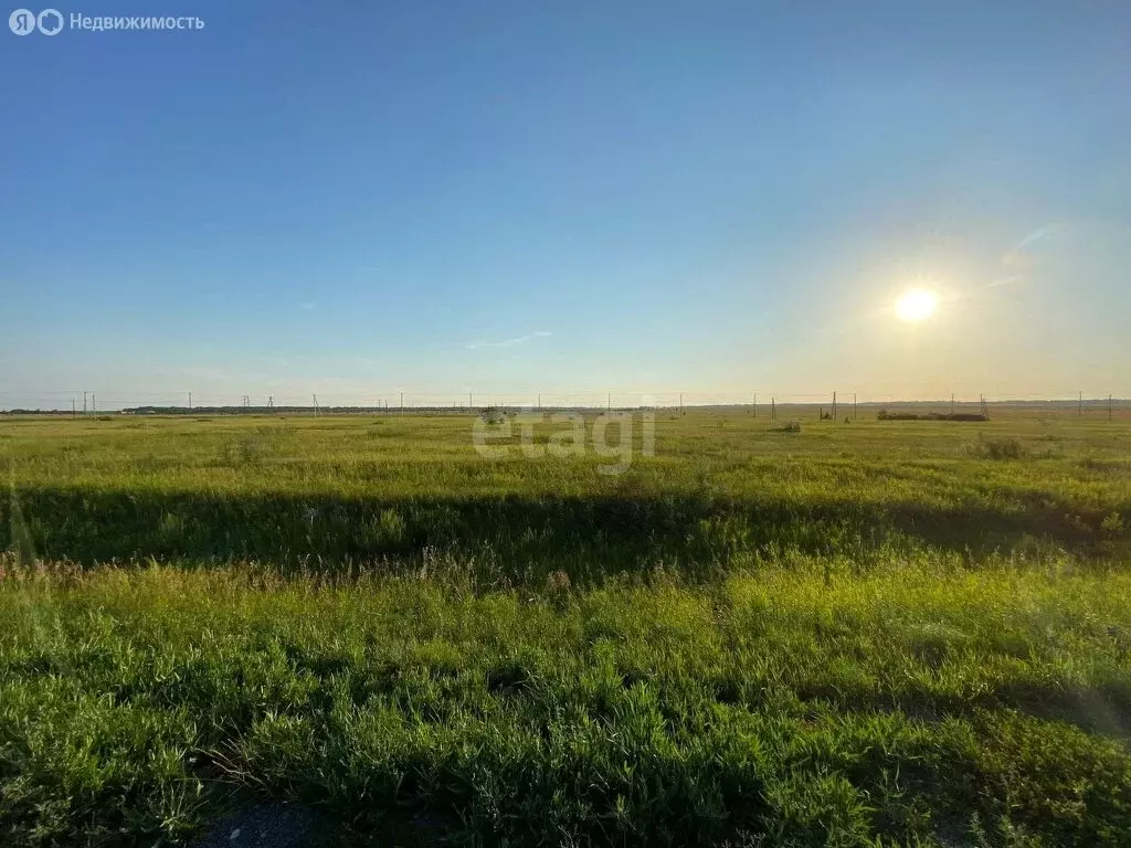 Участок в Курганская область, Кетовский муниципальный округ, село ... - Фото 0