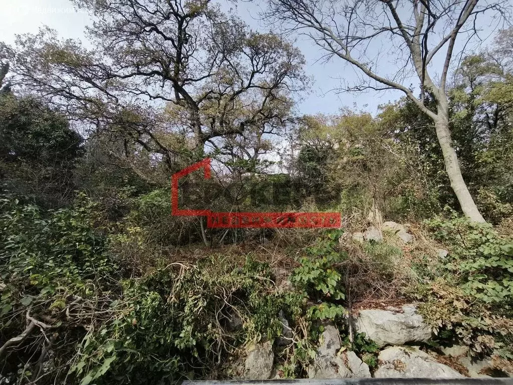 Участок в Кореиз, Алупкинское шоссе, 11 (18 м) - Фото 0