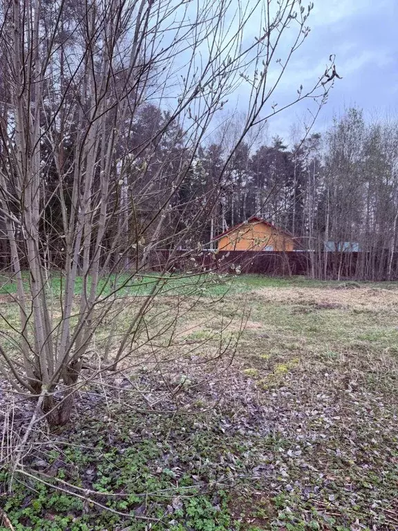 Участок, 6.6 сот., поселения (ижс) - Фото 2