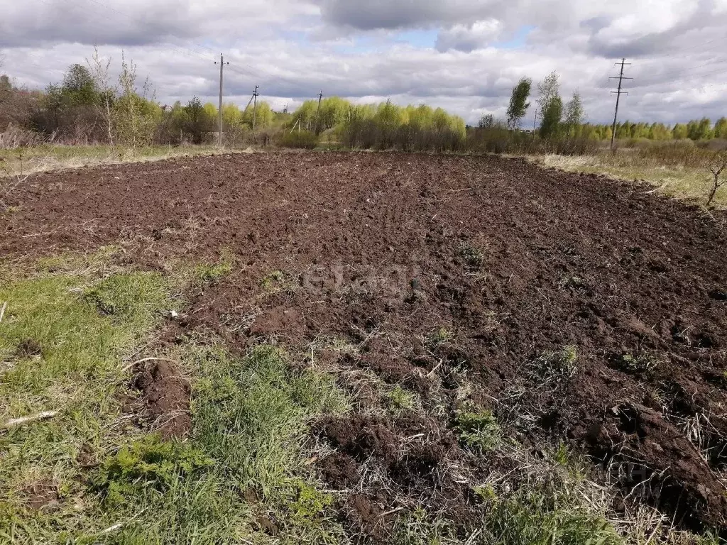 Участок в Владимирская область, Муром с. Чаадаево, ул. Лакина (10.0 ... - Фото 0