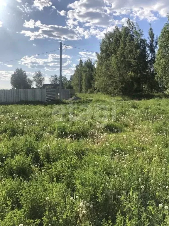 Участок в Брянская область, Брянский район, Нетьинское с/пос, Хотылево ... - Фото 1