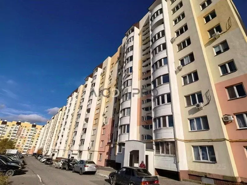 2-к кв. Саратовская область, Саратов ул. Имени Н.В. Кузнецова, 9 (59.2 ... - Фото 1