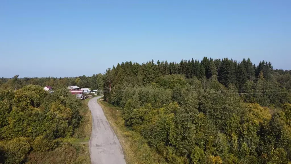 Участок в Карелия, Сортавальский муниципальный округ, пос. Кекоселькя  ... - Фото 2