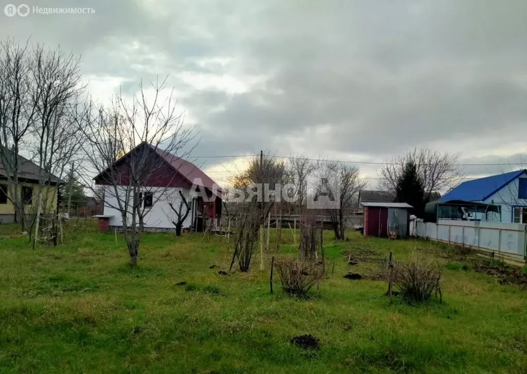 Дом в Тимашевск, улица Мира (44 м) - Фото 2