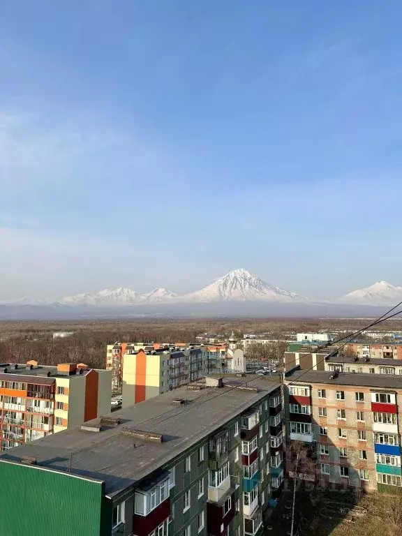 1-к кв. Камчатский край, Елизово ул. Гришечко, 13 (37.0 м) - Фото 1