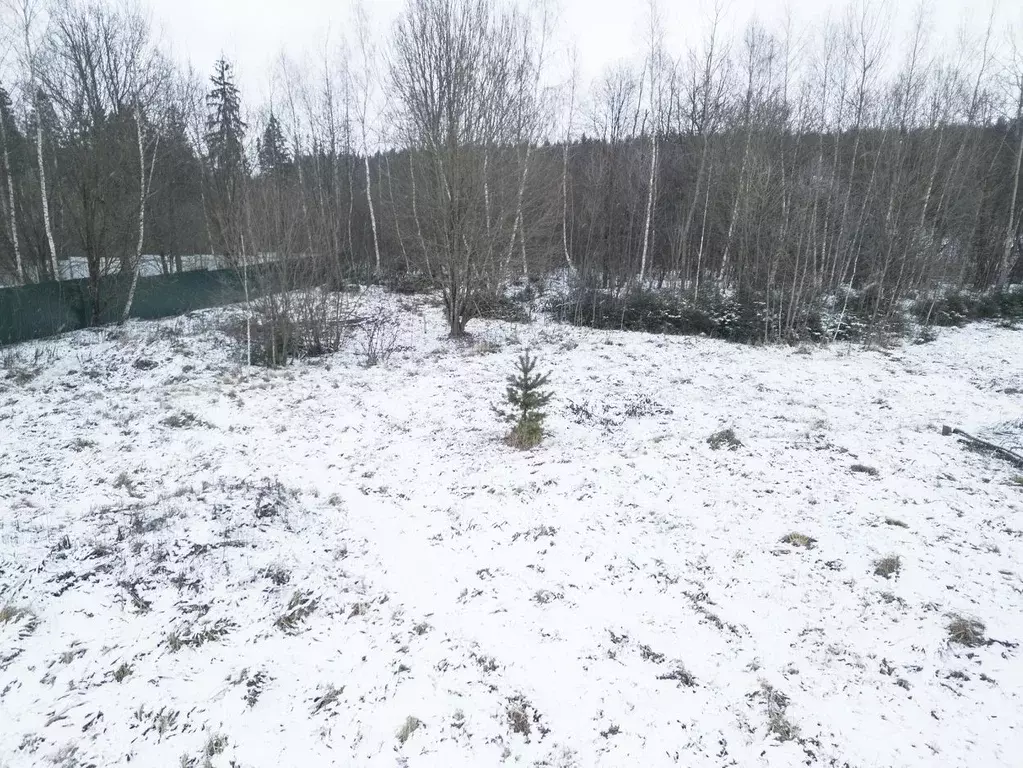 Участок в Москва пос. Птичное, ул. Поперечная (7.5 сот.) - Фото 1