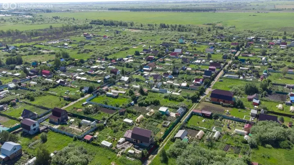 Участок в Тюменский район, садовое некоммерческое товарищество ... - Фото 1