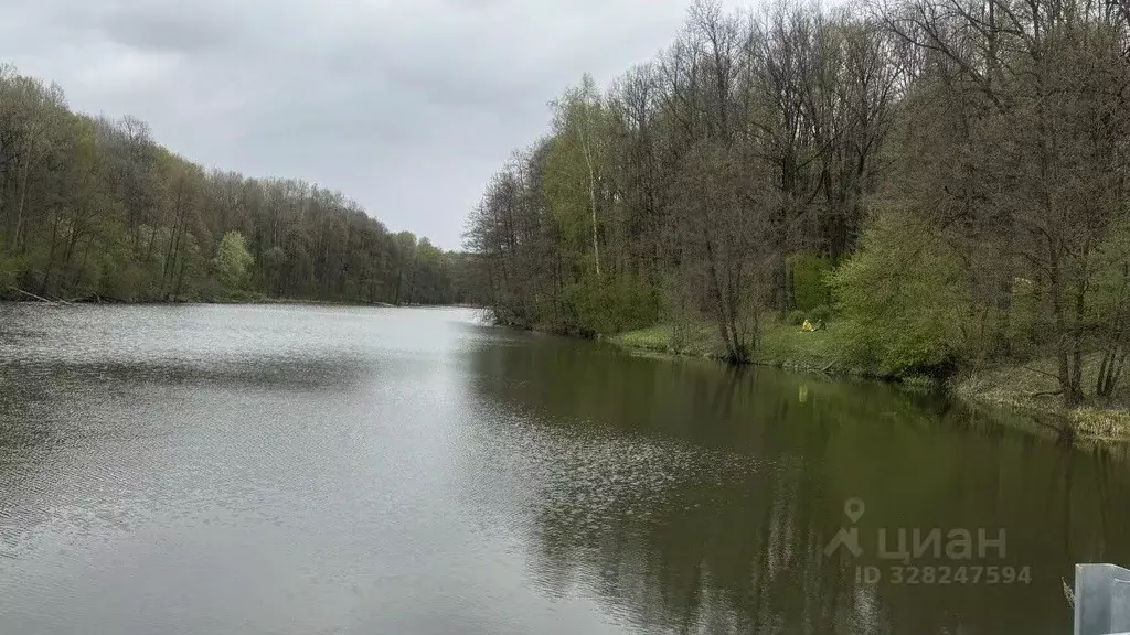 Участок в Тульская область, Тула городской округ, д. Демидовка  (10.0 ... - Фото 1