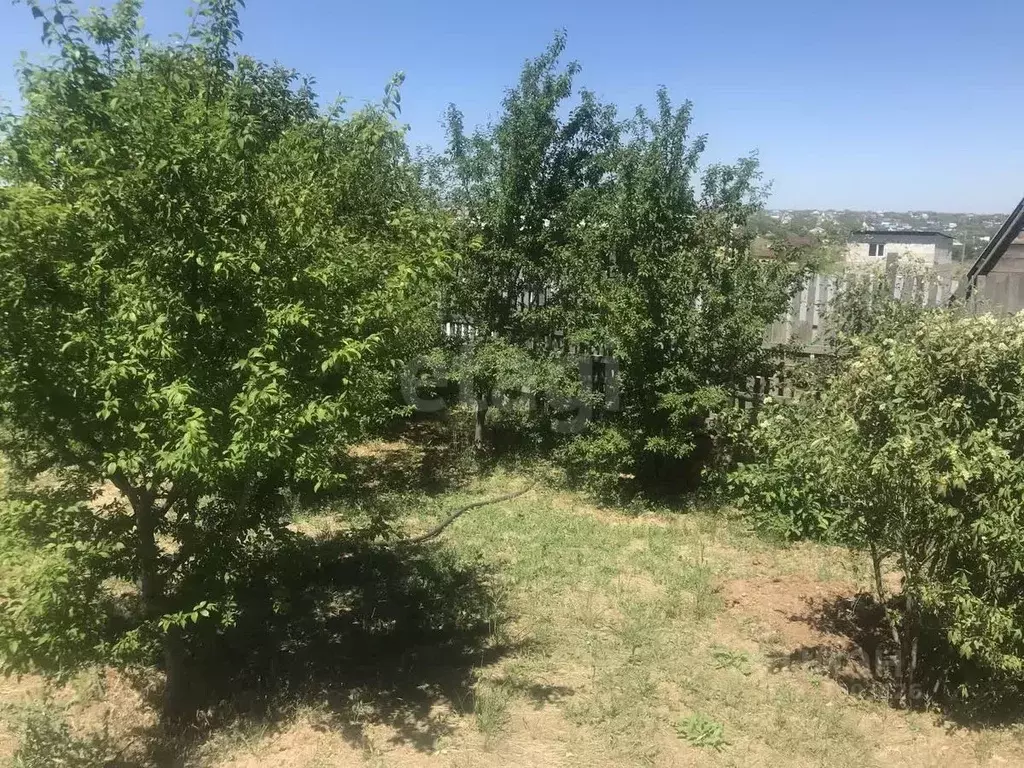 Участок в Волгоградская область, Городище рп, СНТ усадьба ул. 2-я (6.0 ... - Фото 1