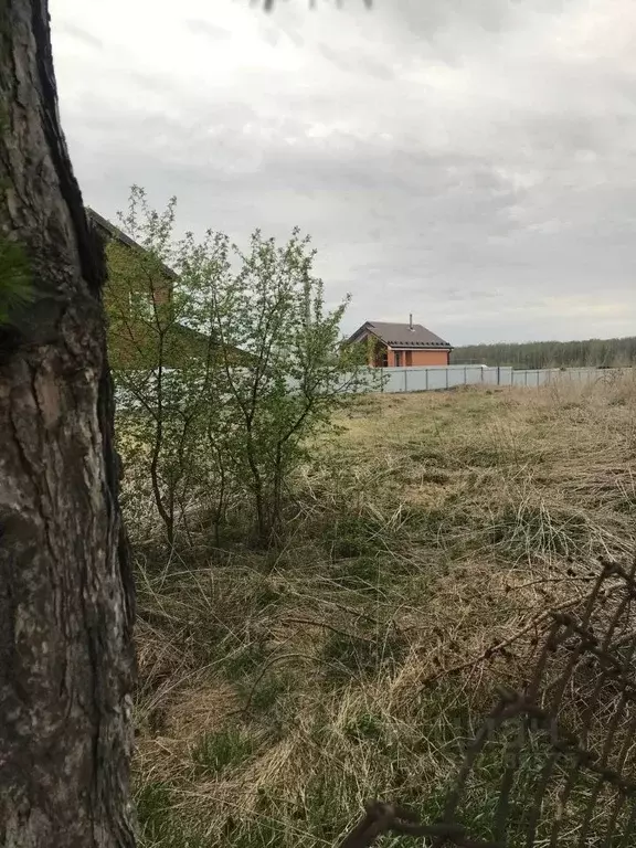 Участок в Тюменская область, Ялуторовский район, с. Сингуль Татарский  ... - Фото 0